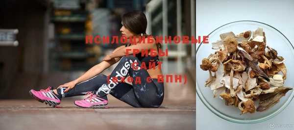 PSILOCYBIN Беломорск