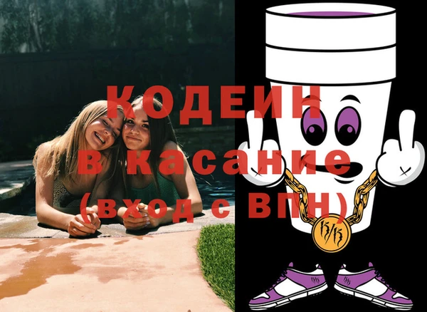 индика Верея