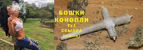 PSILOCYBIN Беломорск