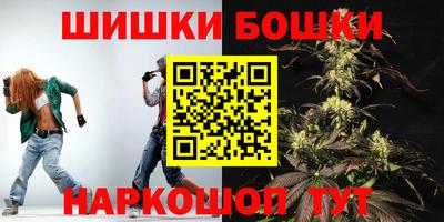 шишки Будённовск