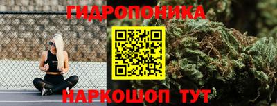 шишки Будённовск