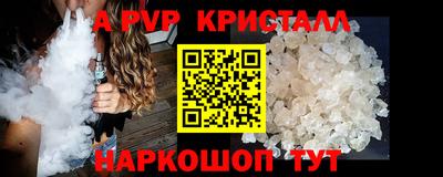 шишки Будённовск